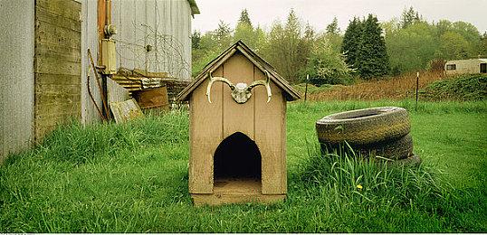 巴西神话改编惊悚恐怖游戏《溺亡湖》发布预告